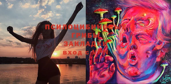 спайс Баксан