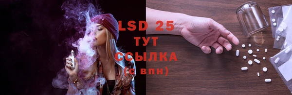 спайс Баксан