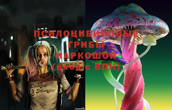 спайс Баксан