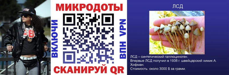 Псилоцибиновые грибы ЛСД Кудрово