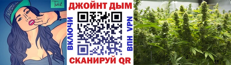 Конопля конопля  наркошоп  Кудрово 